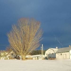 Meet your Posher, Lorraine